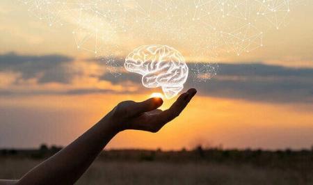 این مواد غذایی برای مغز مفید هستند و عملکرد حافظه را بهبود می‌بخشند