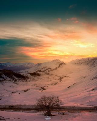 طلوع خورشید و تک درخت زیبای گردنه چری