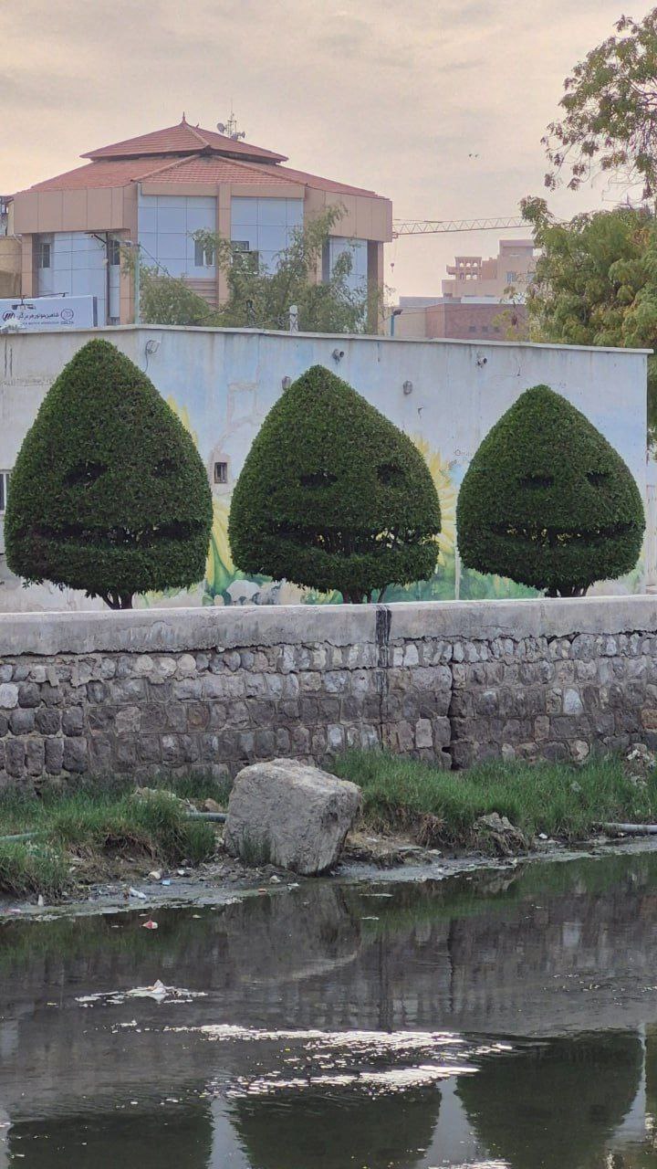 ایده عجیب شهرداری بندرعباس برای زیباسازی