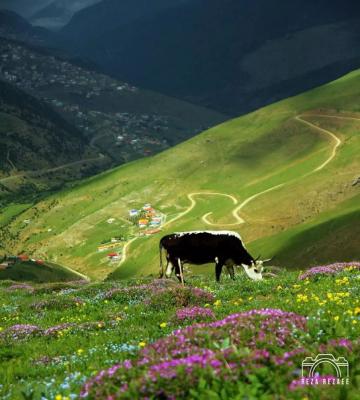 زیبایی چشم نواز ارتفاعات بلده، مازندران