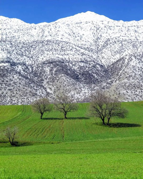 تصویری دیدنی از سفید کوه، لرستان