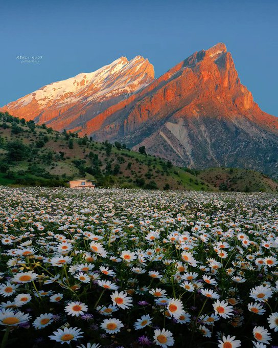 طبیعت شگفت‌انگیز لرستان در بهار
