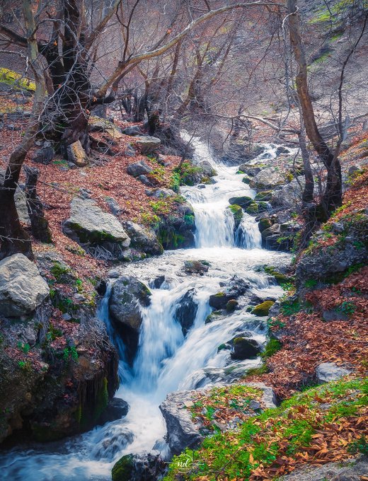 اینجا شمال ایران نیست، خوزستان زیباست