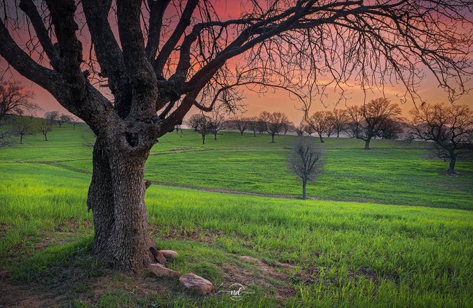 تصویر کارت پستالی از خوزستان زیبا