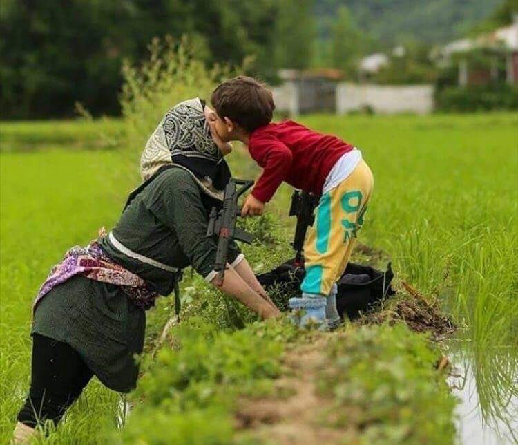 تصویر زیبای مادر و فرزندی در شالیزارهای مازندران