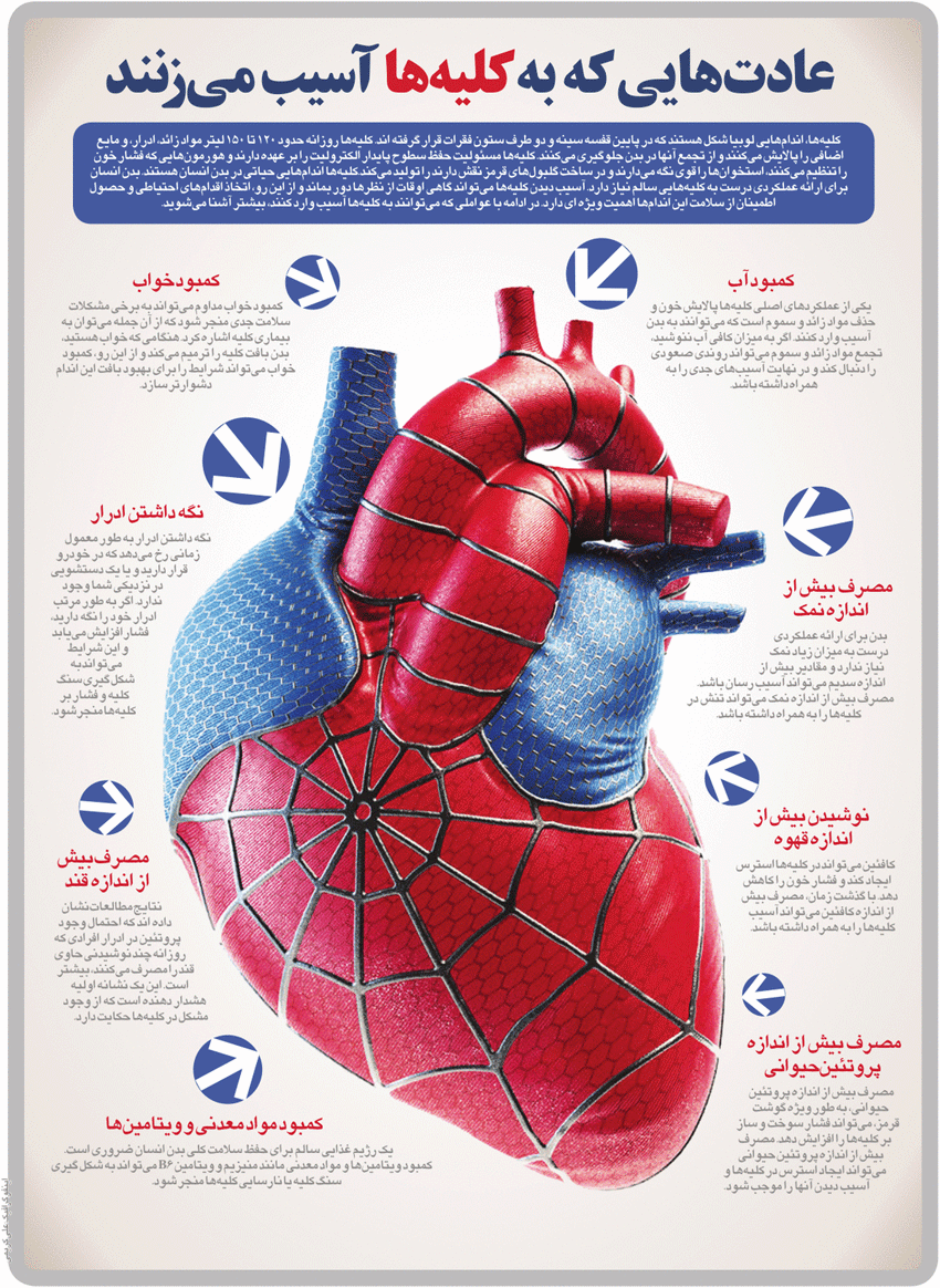 اینفوگرافیک/عادت‌هایی که به کلیه‌ها آسیب می‌زنند