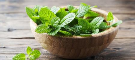 خواص نعناع به غیر از آنچه که تاکنون می دانستید