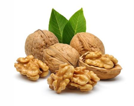 تقویت توان آنتی‌اکسیدانی بدن با «روغن این آجیل+ تمرینات مقاومتی»