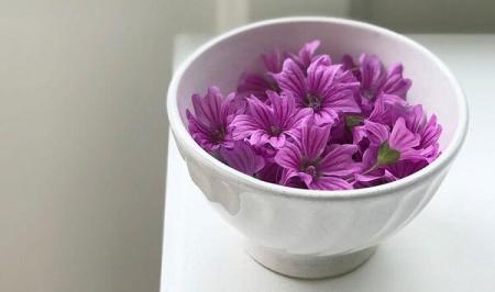 بهبود مشکلات گوارشی و تنفسی با این گیاه