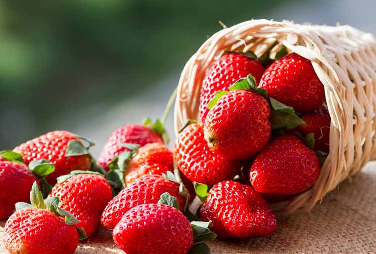 میوه‌های برتر برای مقابله با پیری /اینفوگرافیک