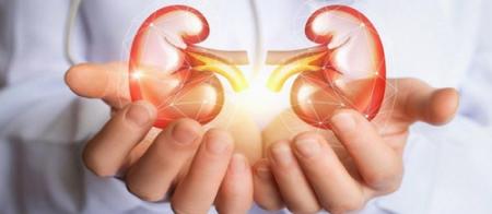 این بیماری کلیوی تا به مرحله دیالیز نرسد بی علامت می ماند؛ هر از گاهی آزمایش ادرار بدهید!