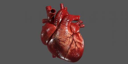 یک راز غذایی که روند پیری قلب را کند می کند