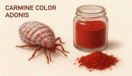 تأیید رسمی سازمان غذا و دارو: رنگ طبیعی قرمز حشره‌ای بلامانع است