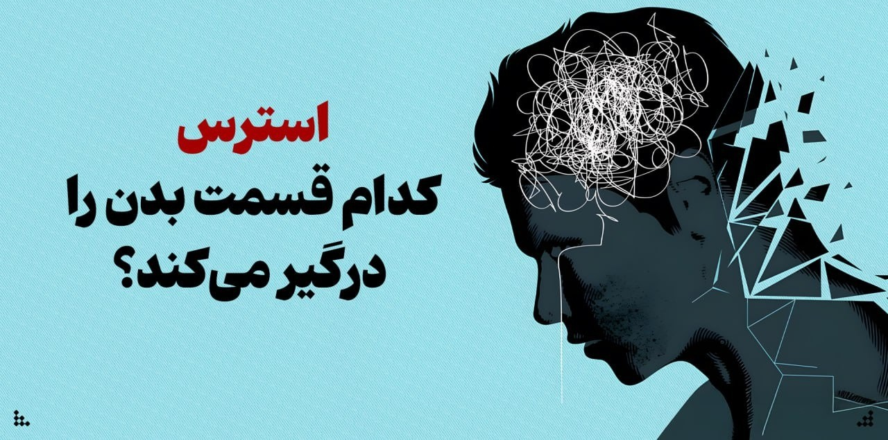 استرس کدام قسمت بدن را درگیر می‌کند؟