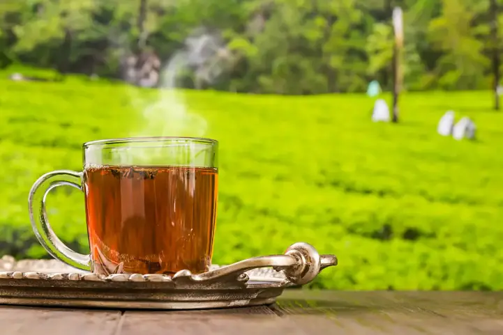 چه چیزی در چای جذب آهن را کاهش میدهد؟