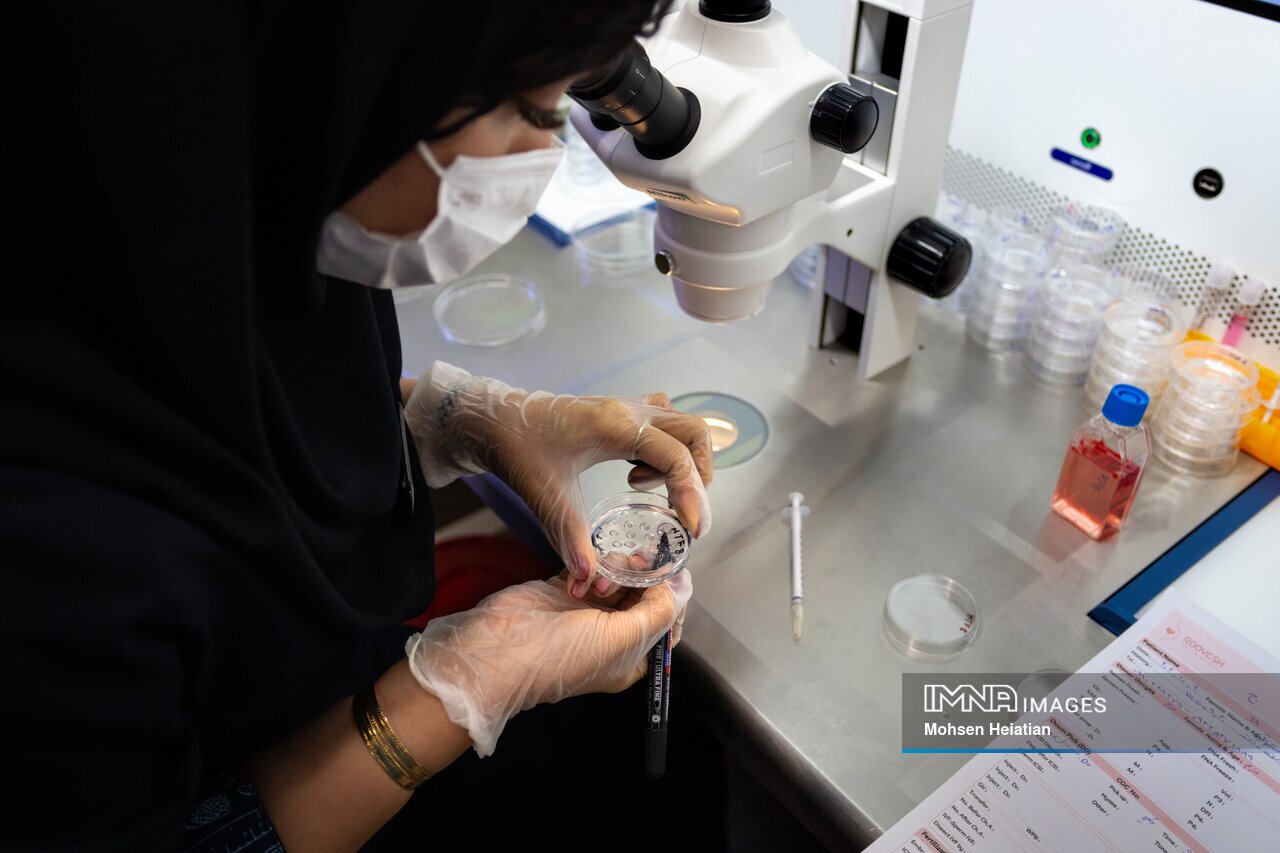 تصویر: آغاز یک  زندگی در آزمایشگاه