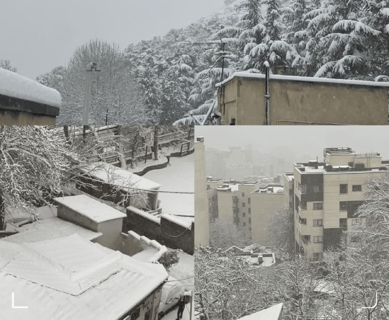 برف ۲۰ سانتی‌متری در شمال تهران+عکس