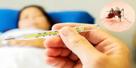 آمار ابتلا به تب دنگی در سال 1404 اعلام شد