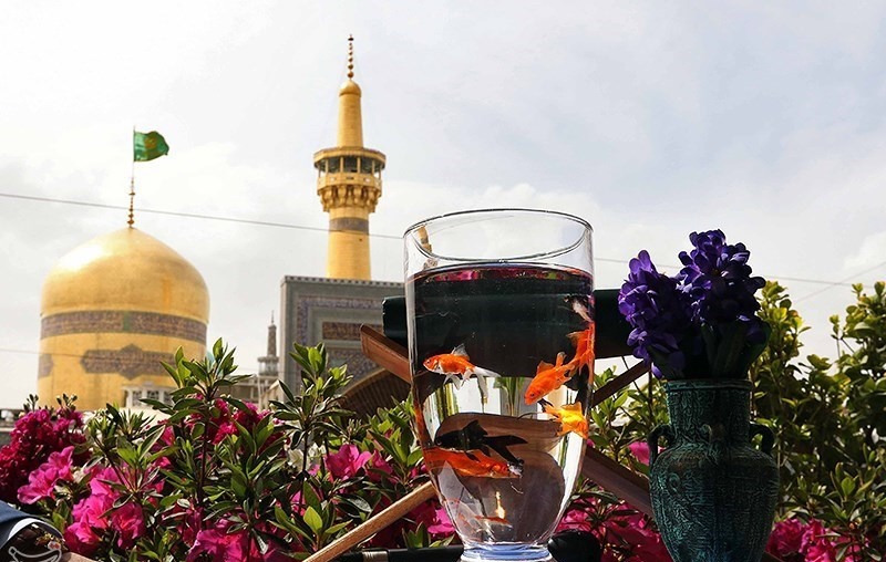 تأثیر زیارت امام رضا(ع) در اصلاح سبک زندگی 