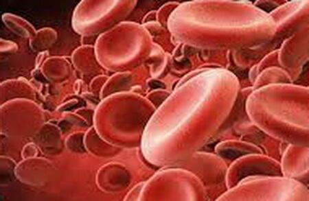 پلاکت؛ کوچک، کم‌عمر اما نجات‌بخش