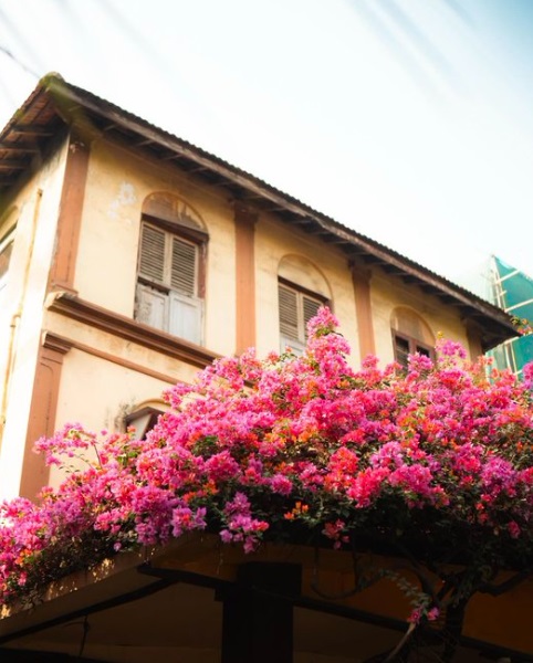 تصویر/ خانه‌ای زیبا و چشم نواز در بمبئی