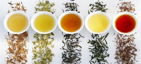 اختصاصی| محبوبیت روزافزون دمنوش‌های گیاهی در ایران؛ آرامش و سلامت در فنجان