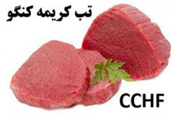 شروع فصل گرما، هشداری جدی برای تب کریمه کنگو