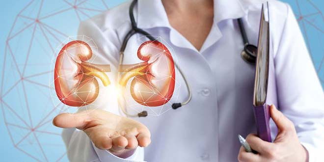 این عوامل دشمنان درجه یک کلیه ها هستند 