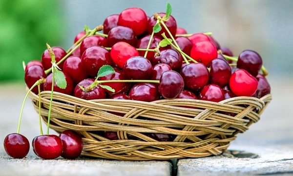 گیلاس قرمز تیره جلوی پیشرفت این نوع از سرطان سینه را می گیرد