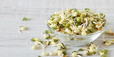 بمب ویتامین و پروتئین در جوانه این گیاه