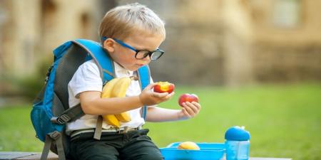 چه زمانی از روز میوه بخوریم؟