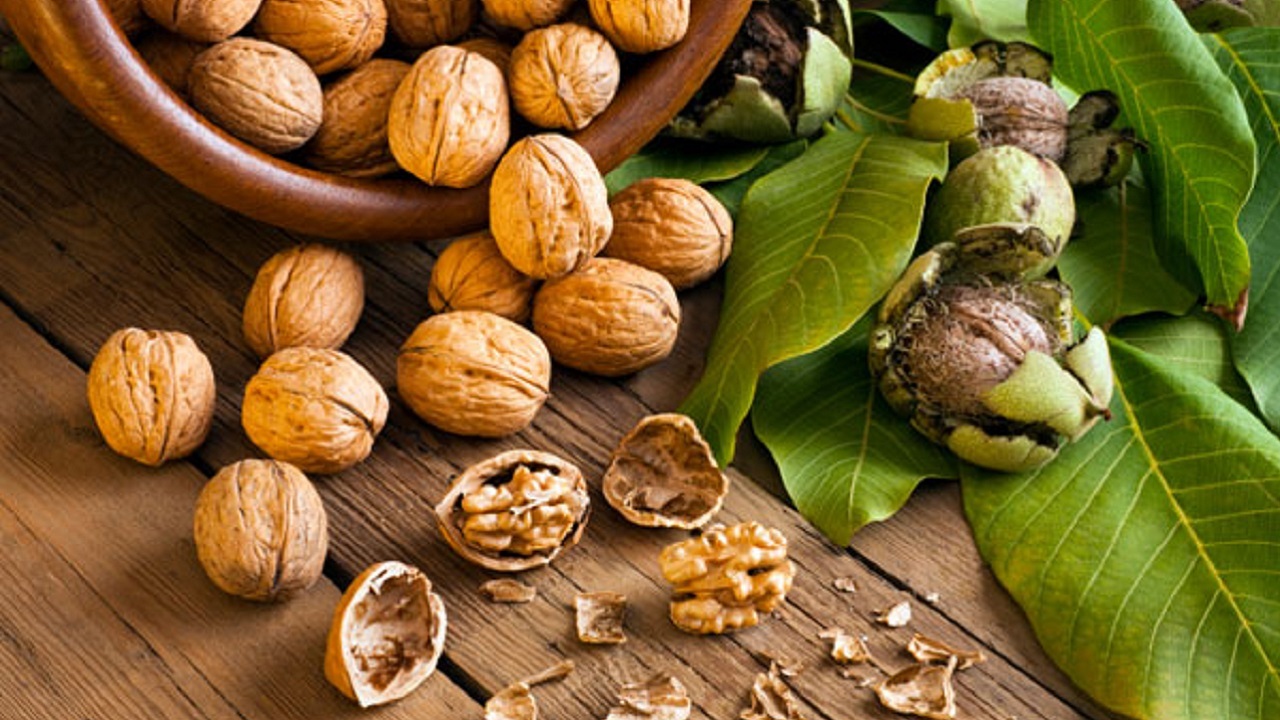 خوردن گردو خطر ابتلا به این بیماری را کاهش می‌دهد