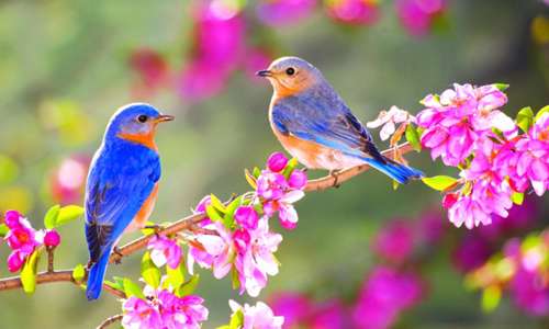 سلامت در بهار+ اینفوگرافیک