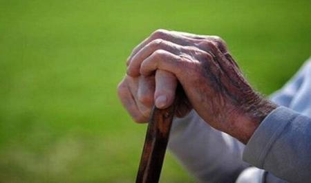  آنچه حیوانات دریایی درباره جوان ماندن ما می‌دانند