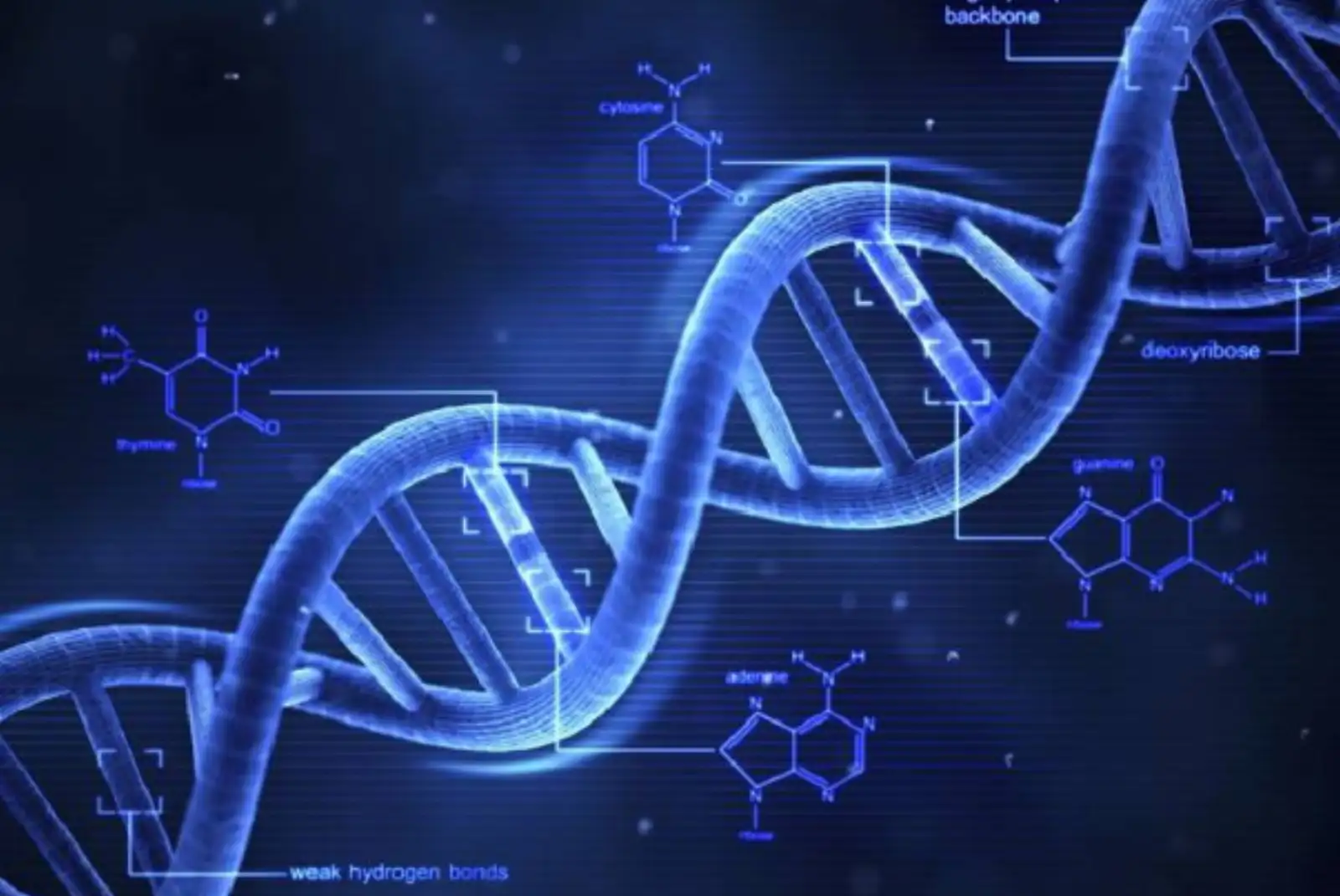 روش جدید و سریع برای شناسایی اجساد؛ پایان دوران انتظار آزمایش DNA