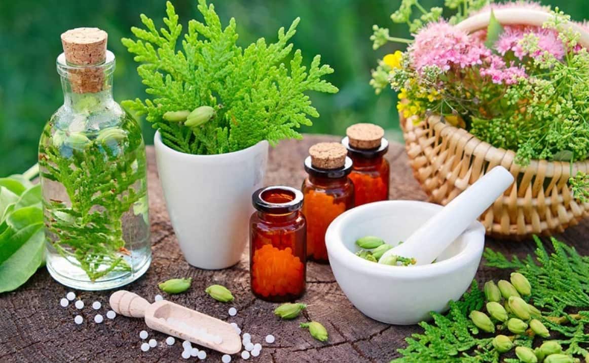 معرفی گیاهان دارویی برای تقویت گردش خون