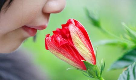 چرا بویایی قوی‌ترین محرک خاطرات است؟