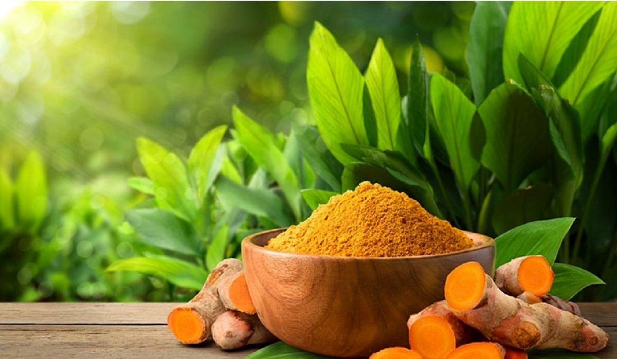 توان بالقوه زردچوبه در مبارزه با چاقی در بیماران دیابتی
