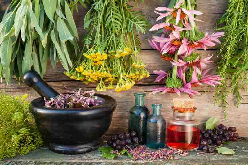 هشدار متخصصان درباره مصرف داروهای رایج و گیاهی در دوران بارداری