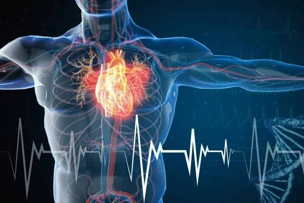 علائم هشدار قلبی که نباید نادیده بگیرید