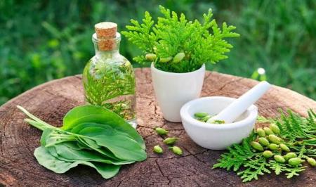 خبر خوب سلامت؛ طب ایرانی دوباره در مسیر توجه مردم برای زندگی سالم‌تر