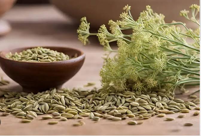 رازیانه برای افزایش شیر مادر؛ نظر متخصصان درباره اثربخشی این گیاه
