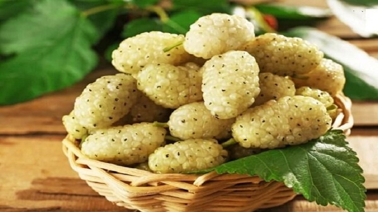 راز آرامش در یک میوه شیرین؛ خواص شگفت‌انگیز توت سفید