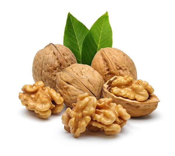 بهترین روش نگهداری گردو به گونه ای که چربی‌های آن اکسیده نشود و طعم و بوی خوبی داشته باشد