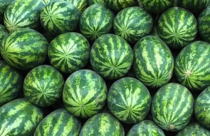 این خوراکی‌ها را هرگز نباید در یخچال قرار دهید