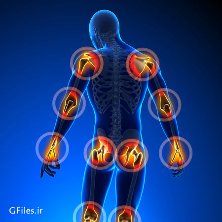  مفاصل بدن و خوراکی های مفید و مضر برای آن / اینفوگرافیک