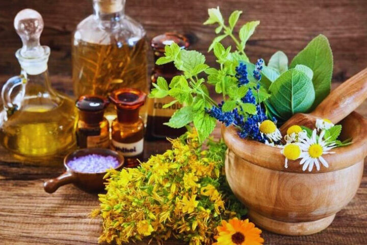  داروی گیاهی باید از مسیر داروخانه عرضه شود