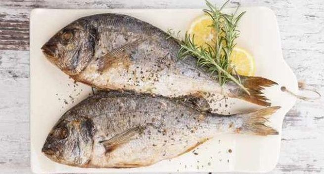  گرمایش زمین ماهی ها را کوچک می کند 