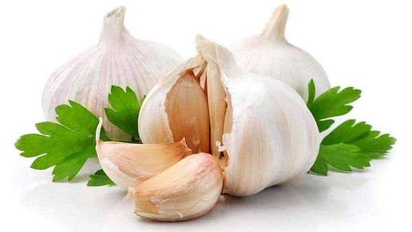 خواص سیر از نظر علم؛ پژوهش های جدید چه می‌گوید
