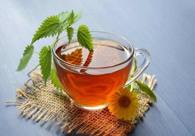 برای نفخ بعد از غذا چه کنیم؟ نگاهی به جایگاه نعناع در طب سنتی